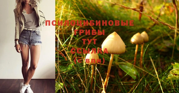 мяу мяу мука Арсеньев