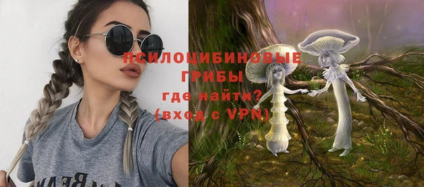 Альфа ПВП Аркадак