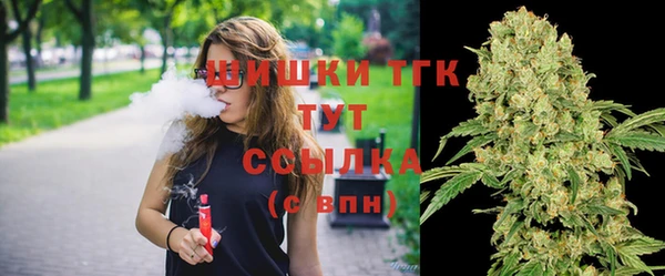 Альфа ПВП Аркадак