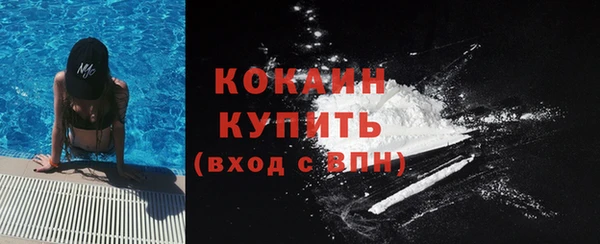 МДМА Ельня