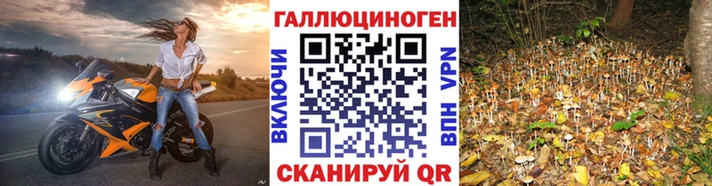 Галлюциногенные грибы GOLDEN TEACHER  где купить наркоту  Змеиногорск 